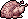 pollo pollo